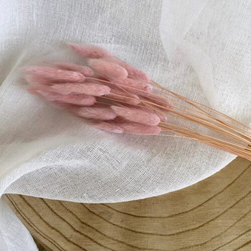 Botte lagurus violet/rose