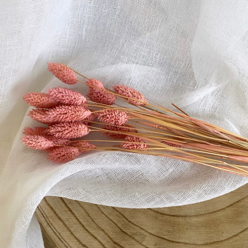 Botte phalaris vieux rose