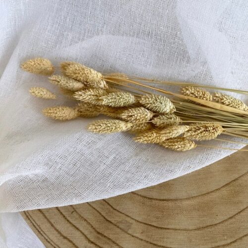 Botte phalaris naturel