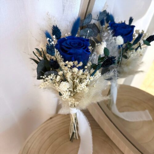 Demoiselle Bleu roi