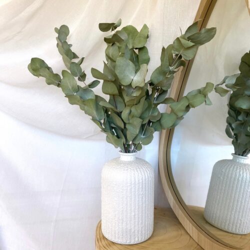 Composition Eucalyptus