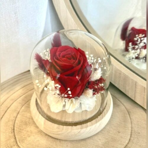 Cloche Elaia