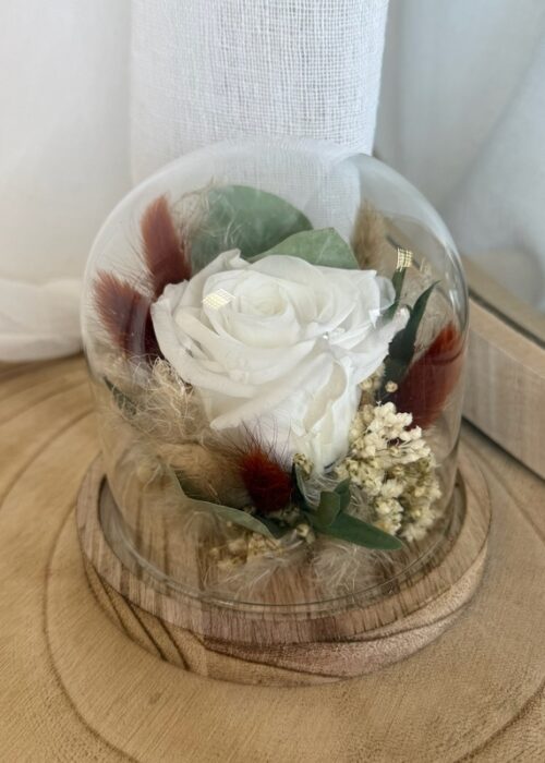 Cloche Terracotta