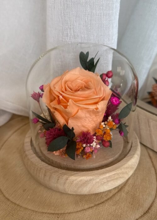 Cloche Colorée