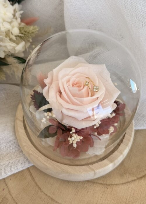 Cloche Porte Alliance