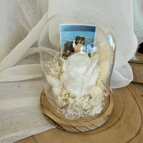 Cloche Blanche
