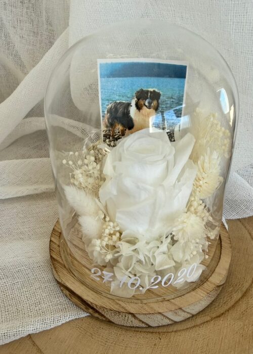 Cloche Blanche