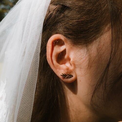 Boucles d&rsquo;oreilles plaqué or feuille de laurier