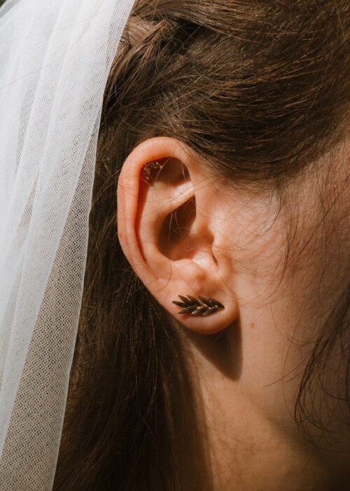 Boucles d'oreilles plaqué or feuille de laurier