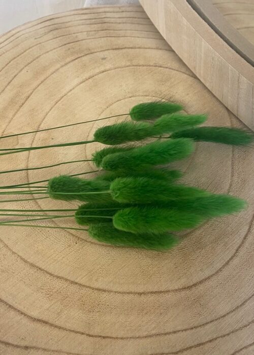 Botte fleurs séchées Lagurus vert